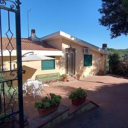 Alla Romana Villa Caltagirone Eksteriør bilde