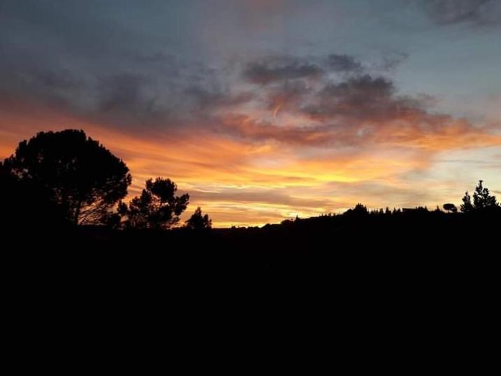 Alla Romana Villa Caltagirone Eksteriør bilde